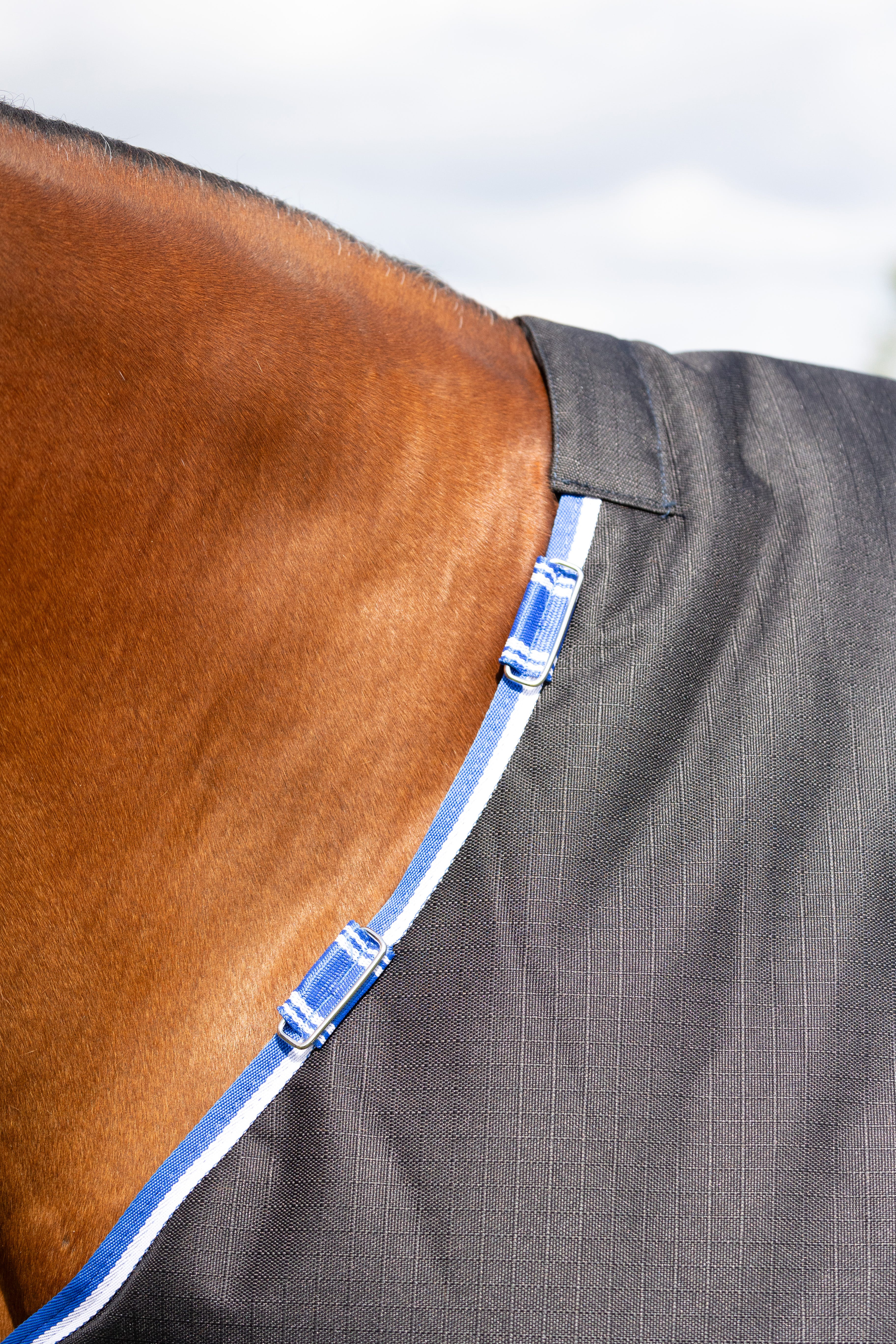 StormX Empra Extra 200g Turnout Rug with Detachable Neck image 4